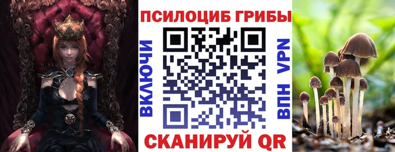 Псилоцибиновые грибы ЛСД  купить наркотик  гидра зеркало  Ноябрьск 